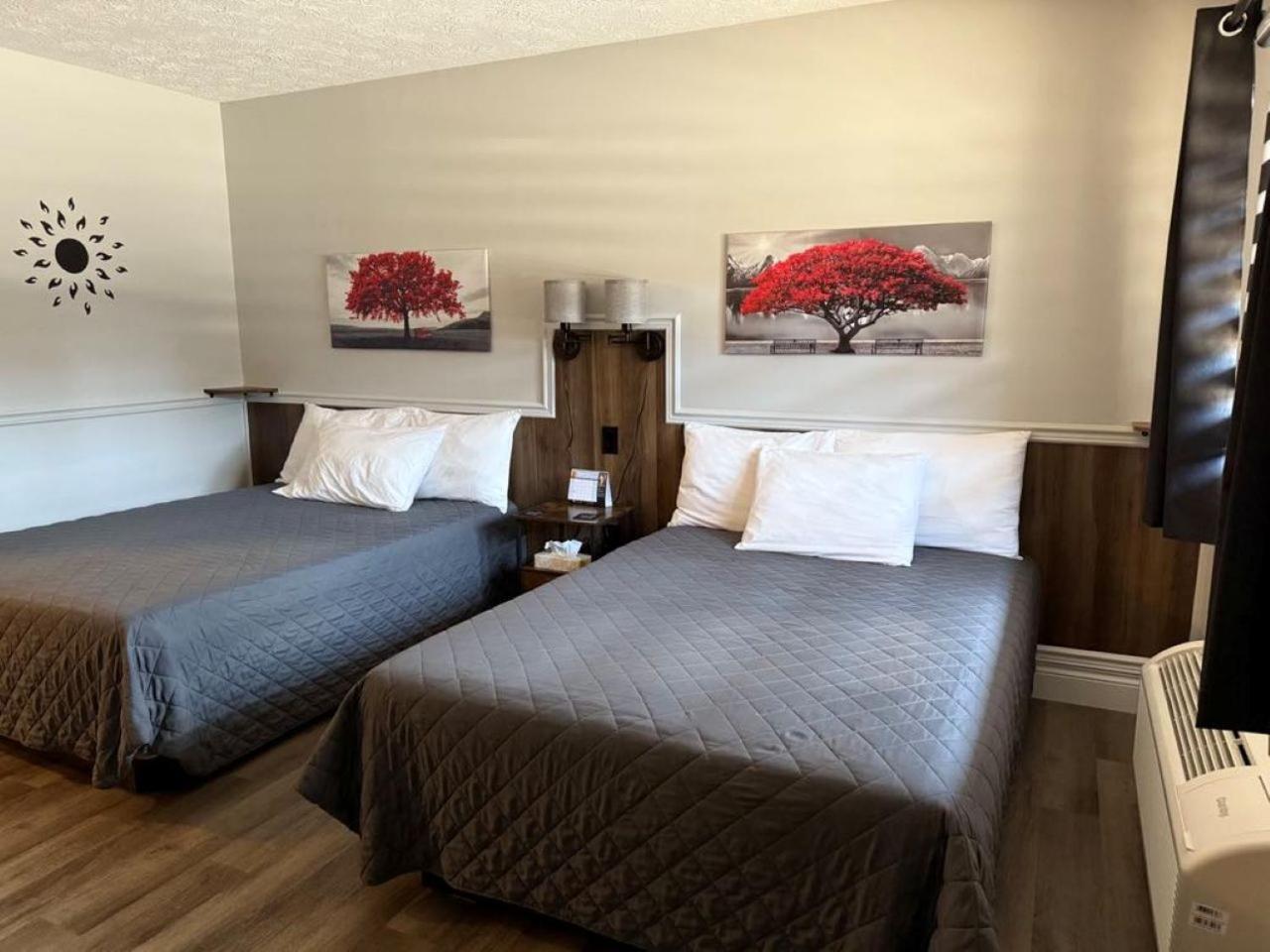 Auberge Micky Inc Edmundston Kültér fotó